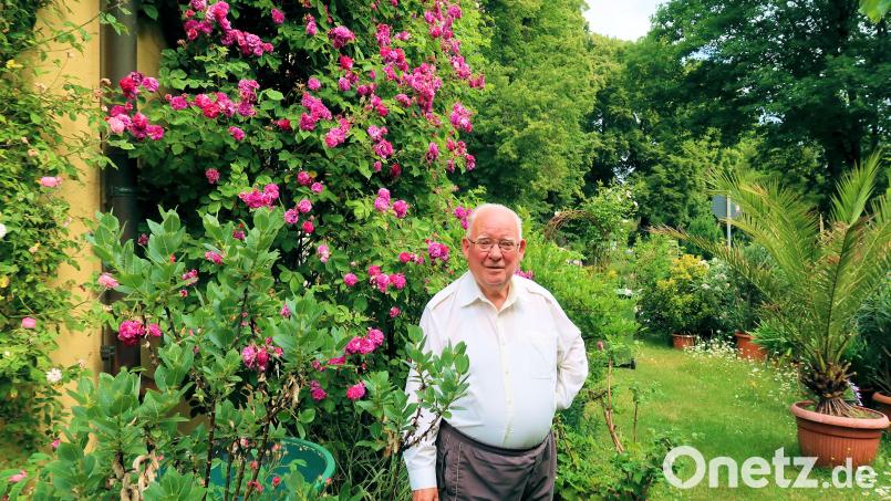 Ruhestandsgeistlicher und Blumen- und Naturfreund Siegfried Wölfel feiert am Sonntag sein Goldenes Priesterjubiläum. Bild: bsc