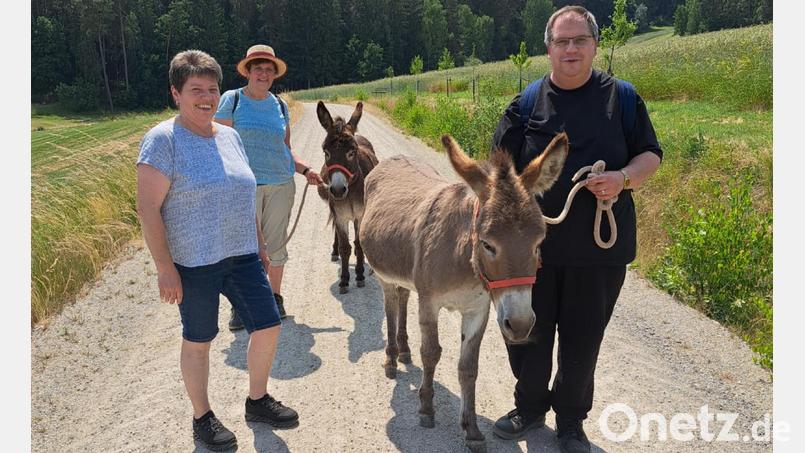 Pfarrer Markus Urban genoss die Wanderung mit Monika Paumer, Gisela Plößl und natürlich mit den Eseln Peter und Gerd. Bild: Pfarrgemeinderat Schwarzhofen/exb