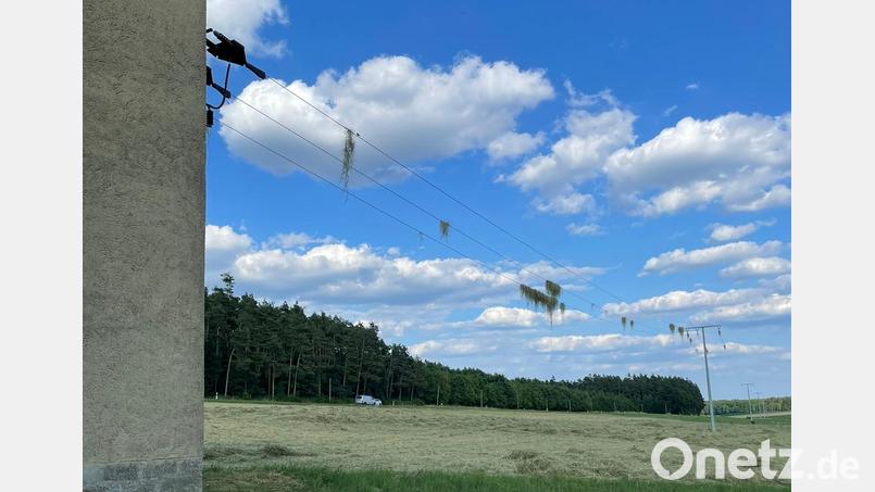 Wie auf einer Wäscheleine hängt das von einem Staubteufel aufgewirbelte Heu bei Ernstfeld in der Nähe von Schlammersdorf auf einer Stromleitung. Bild: Feuerwehr Schlammersdorf/exb