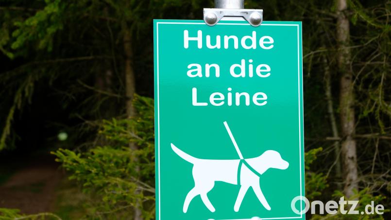 Die Jagdpächter versuchen es in ihren Revieren mit einer Gedächtnisauffrischung für alle Hundebesitzer. Leider oft vergeblich, wie es heißt. Bild: do