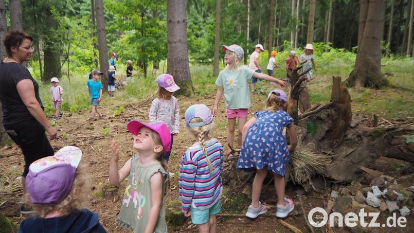 Dieses Waldstück in der Nähe von Weidenthal ist für die Kindergartenkinder von St. Michael ein begehrter Spielplatz - und ein idealer Lernort. Im Bild rechts wird gerade das Feen-Haus mit Grashalmen dekoriert. Links Kindergarten-Leiterin Katja Baumer. Bild: bl