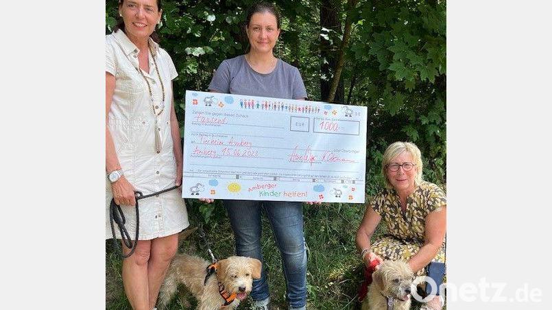 Von links Anne Wagner, Vorsitzende von &quot;Amberger Kinder helfen&quot;, Tierheimleiterin Jennifer Caudill und Kirsten Prax. Bild:  Silvia Simon/exb 