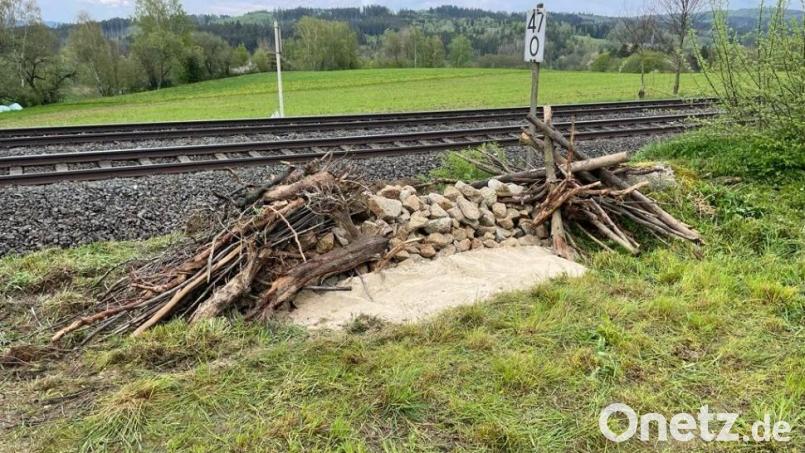Die Deutsche Bahn hat Lebensräume für Zauneidechsen bei Pechbrunn geschaffen. Dorthin sollen demnächst Tiere umgesiedelt werden. Bild: DB AG/exb