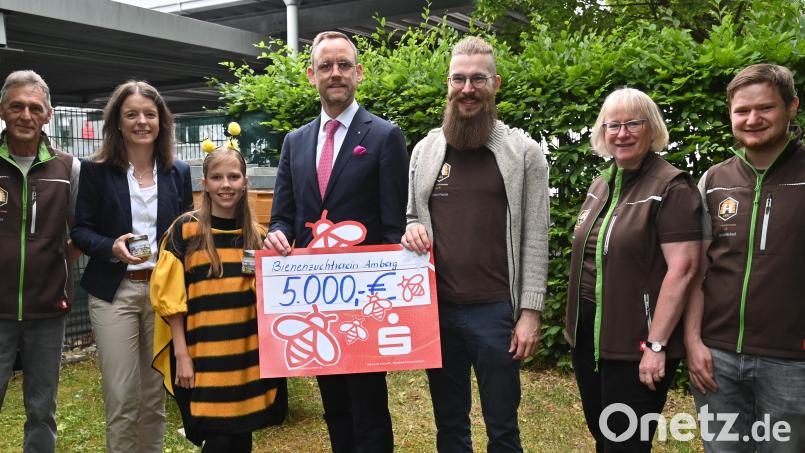 5000 Euro für den Amberger Bienenzuchtverein. Raimund Jonas (von links), Sonja Kalb, die Sparkassen-Biene Sarah, Thomas Pickel, Florian Winkler sowie Gerda Eiber und Michael Straub bei der Spendenübergabe. Bild: gf