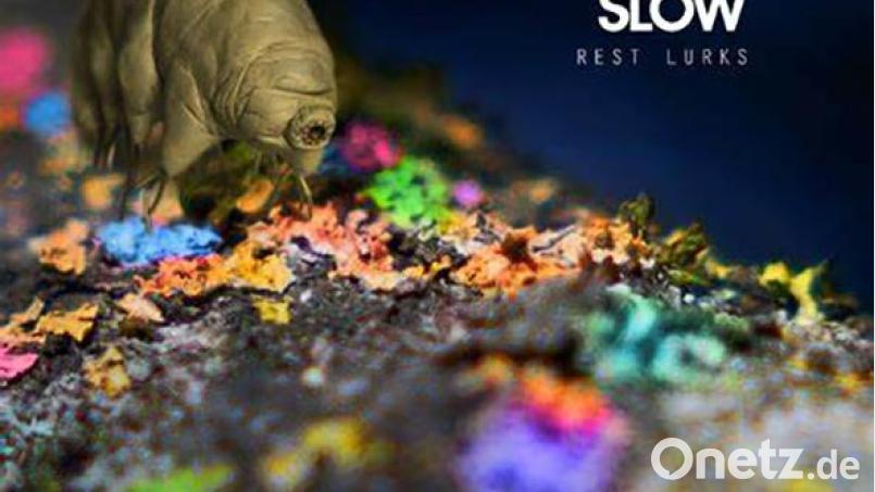 Lichen Slow - Rest Lurks (PIAS) Bild: PIAS