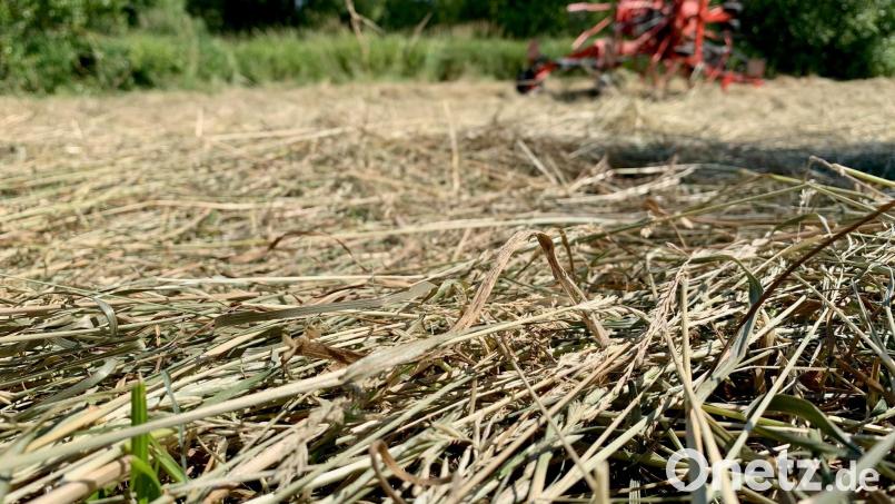 Zum Heuwenden und -einbringen ist eine lange Trockenperiode hilfreich, ansonsten stellen 35 Tage ohne Niederschlag Landwirte und Natur vor große Probleme. Bild: Gabi Schönberger