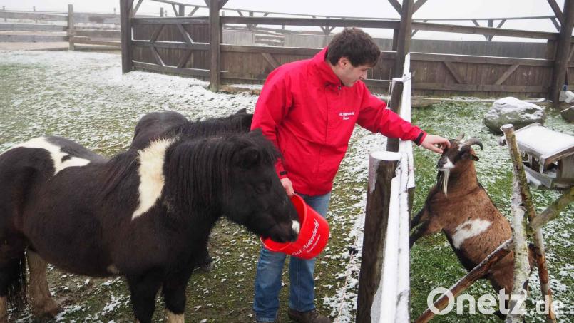 Ponys und Ziegen finden bei Michael Meckl ein neues Zuhause. Archivbild: gz