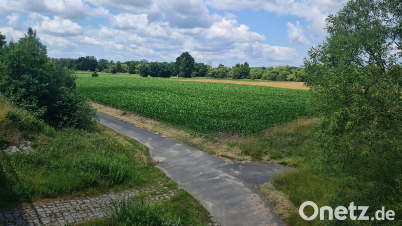 Auf dieser Fläche zwischen Gmünd und Hütten soll bald Kiesabbau betrieben werden. Bild: sne