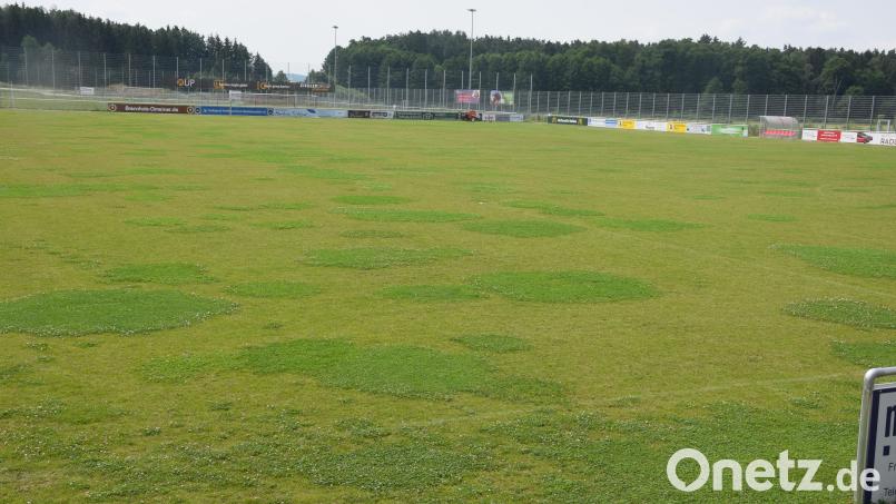 Braune Flächen und Kleefelder auf dem ganzen Rasenspielfeld im Sportpark Pirk. Was sind die Ursachen? Vermutet wird, dass der Stickstoffgehalt im Boden nicht passt und die Bewässerung an manchen Stellen nicht funktioniert. Bild: fz