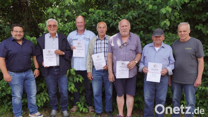 Vorsitzender Willi Stahl (rechts) und Bürgermeister Thomas Kaufmann überreichten Urkunden an Josef Hecht, Roland Schäffler, Johann Busch, Winfried Burkhard und Bernhard Weber (von links). Bild: bkr