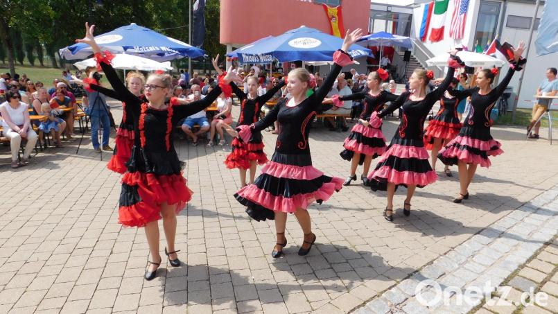 Beim Fest der Kulturen 2018 setzte die deutsch-russische Tanzgruppe Kolibri aus Bayreuth (Bild) einen Farbtupfer im Programm. Für dieses Jahr ist diese Veranstaltung abgesagt worden. Stattdessen soll es in Herbst für 50 angekündigte Asylsuchende eine Art Willkommensfeier geben. Archivbild: whü