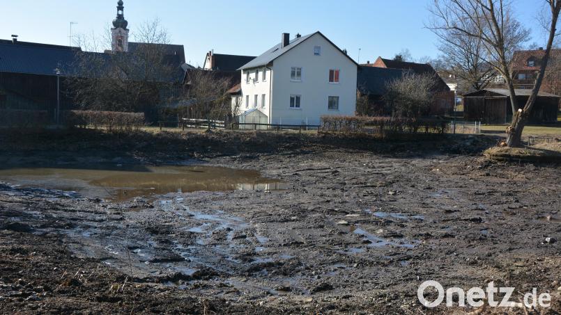 Der Dorfteich in Bad Neualbenreuth ist im Zuge des Gesamtkonzepts zur Neugestaltung des Raiffeisen-Areals entschlammt worden. Bild: jr