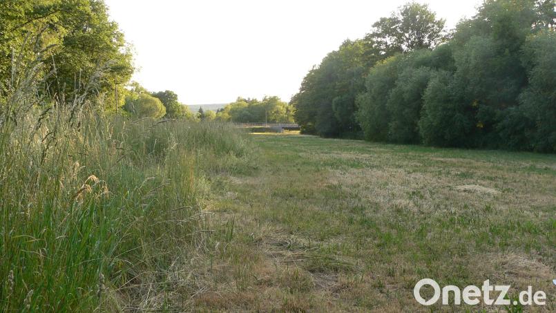 Auf diesem Grundstück an der Luhe sollte einst ein Schwimmbad gebaut werden. Bild: mh
