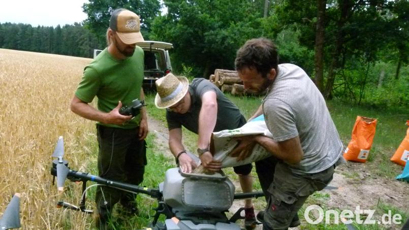 Ein spezieller Aufsatz auf die Drohne ermöglicht das Ausbringen von Samen. Bild: rn