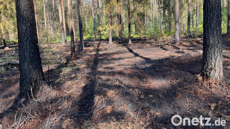 Bisher gelingt es den Feuerwehren, die Waldbrände - wie hier bei Neukirchen-Balbini - schnell in den Griff zu bekommen. Bild: Polizeiinspektion Neunburg vorm Wald/exb