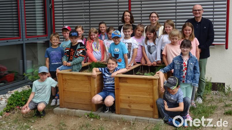 Die von der Marktgemeinde finanzierten Hochbeete werden von den Kindern gerne gepflegt. Bild: C. Hutzler/exb