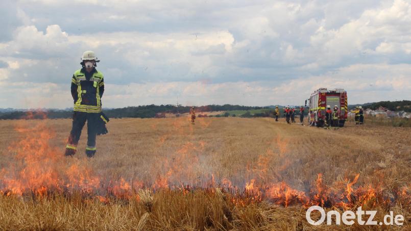 Brennende Getreidefelder kommen im Sommer immer häufiger vor, am Freitag waren zwei in der Gemeinde Speinshart betroffen. Symbolbild: gri