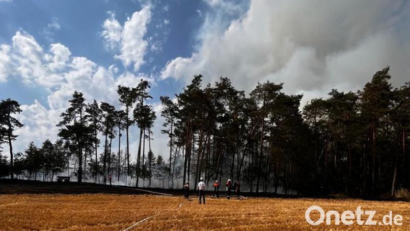 In der Nähe der Ortschaft Öd bei Nittenau brannten am Dienstagnachmittag rund zehn Hektar Wald und Feld. Bild: Kreisbrandinspektion Landkreis Schwandorf/exb