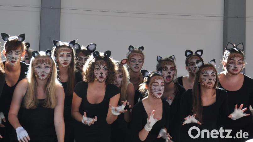 Der Broadway lässt grüßen. Die "Voices" zeigen Krallen bei einer "Cats"-Choreografie, die sie 2015 einstudiert hatten. Bild: Bergler/exb