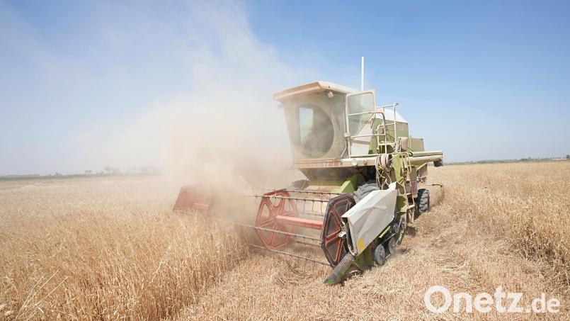 CSU und Freie Wähler drängen aufgrund der anhaltenden Trockenheit auf die Nutzung gereinigter Abwässer aus Kläranlagen zur Bewässerung landwirtschaftlicher Nutzflächen. Symbolbild: Hadi Mizban /dpa