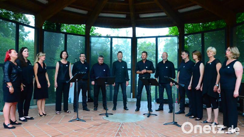 A capella sorgt die Gruppe &quot;SunnySongdays&quot; auf der Bühne im Max-Reger-Park für Stimmung bei der Sommerserenade. Bild: Kunz