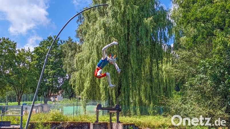 Ist das Freude oder etwa Angst in den Augen von „Arschbombe“? Das dürfen die Betrachter des Kunstwerks des Ehepaars Kießling im Auenpark selbst interpretieren. Bild: Sascha Fuchs/exb