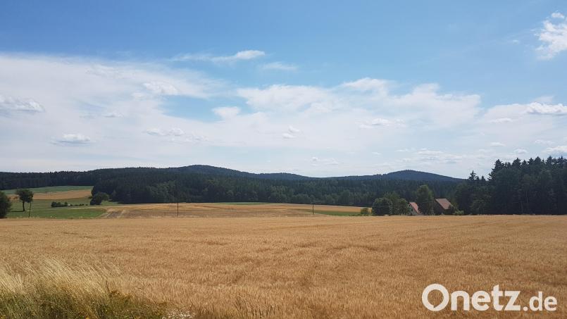 Im Waldgebiet „Bromberg“ will die Firma Juwi fünf oder sechs Windräder aufstellen. Bild: gi