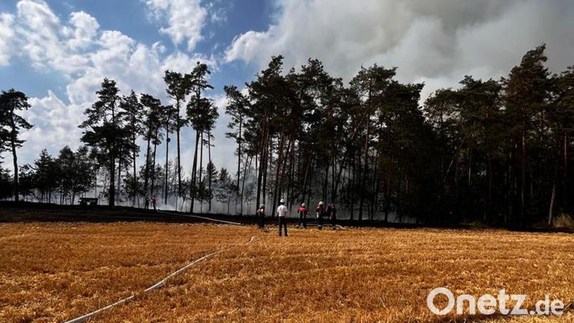 Der größte Einsatz bisher war der Wald- und Feldbrand bei Nittenau. Archivbild: Kreisbrandinspektion Landkreis Schwandorf/exb