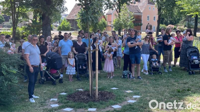 Zu Ehren der Neugeborenen pflanzte die Stadt einen Maulbeerbaum am Torweiher. Bild: K. Tackmann/exb