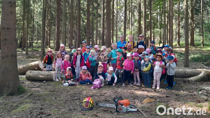 Den Waldaktionstag genossen die Buben und Mädchen des evangelischen Kindergartens Erbendorf. Bild: Kindergarten Regenborgen Erbendorf/exb