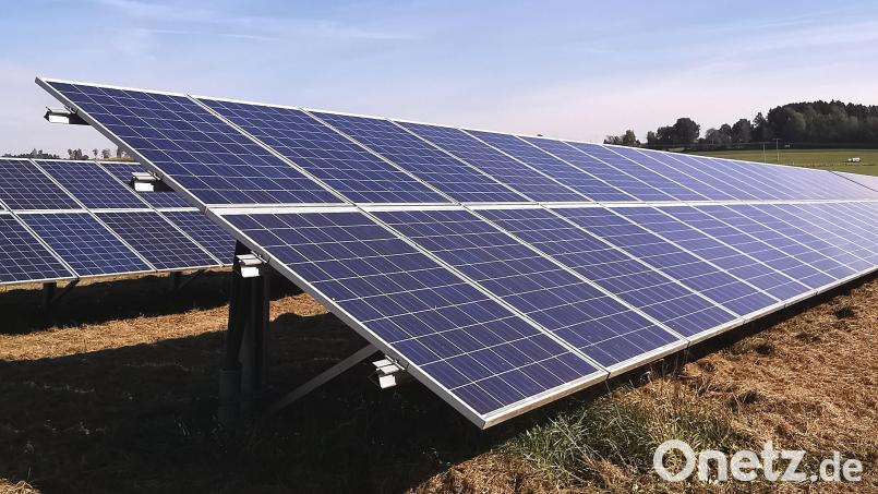 Die DLB will eine Freiflächen-Photovoltaikanlage für den Eigenbedarf errichten. Bild: Portner