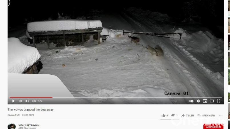 Angeblich soll das Video aus Tännesberg stammen. In Wirklichkeit kommt es aber aus Russland. screenshot: Bild: Youtube/VITALY PETRUKHIN