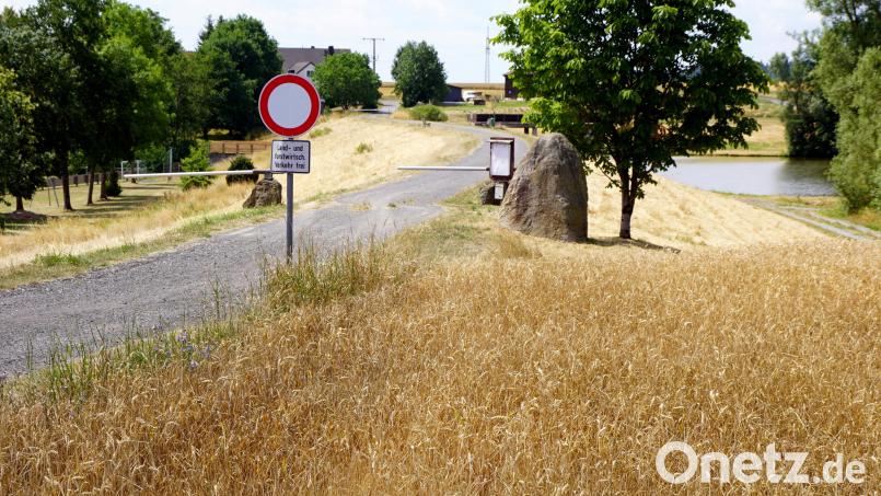 Laut einer Bauvoranfrage für eine Teilnutzungsänderung einer Maschinenhalle in eine Pensionspferdehaltung sollen Weideflächen rund um den Stausee eingezäunt werden. Eine davon ist das Getreidefeld am vorderen Bildrand. Über den Damm des Stausees möchte man die Pferde zu den Wiesen bringen. Bild: bkr