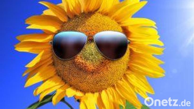 Sommer, Sonne, Freizeitspaß Bild: Thaut Images/Adobe Stock