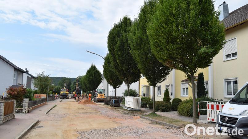 Dem behindertengerechten Ausbau des Gehweges in der Bahnhofstraße stehen die zehn Hainbuchen im Wege. Bild: bnr
