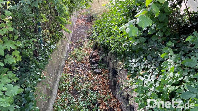 Der ausgetrocknete Rehmühlbach im Bereich der Prößlstraße. Bild: phs