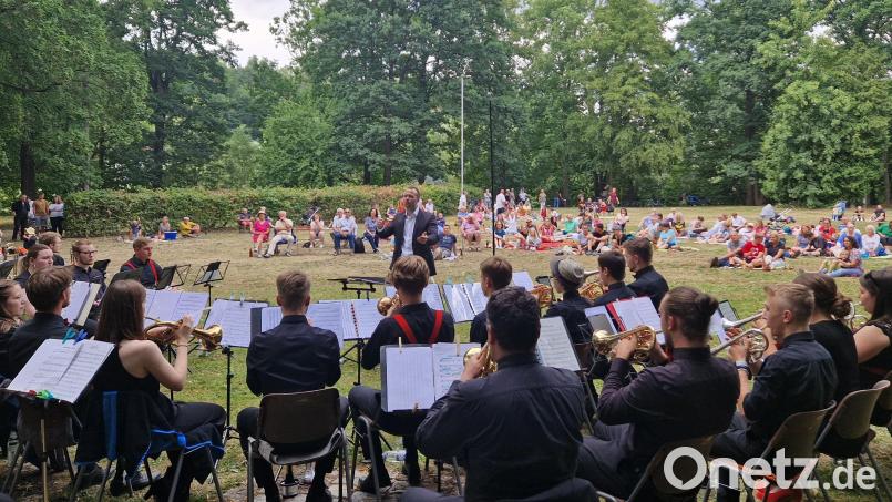 &quot;Musikalisches Picknick im Schlosspark&quot; lockte zahlreiche Besucher und Zuhörer mit ihren Decken und Klappstühlen auf die Halbinsel an der Naab. Bild: mab
