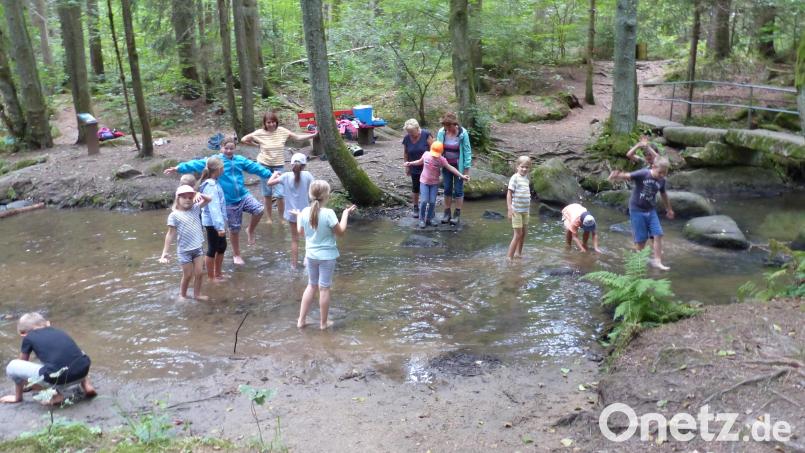 Beim Ferienprogramm im vergangenen Jahr wateten die Kinder unter anderem durch die Lerau. Auch für die Sommerferien 2023 sind wieder einige Abenteuer in und um Leuchtenberg geplant. Archivbild: sl