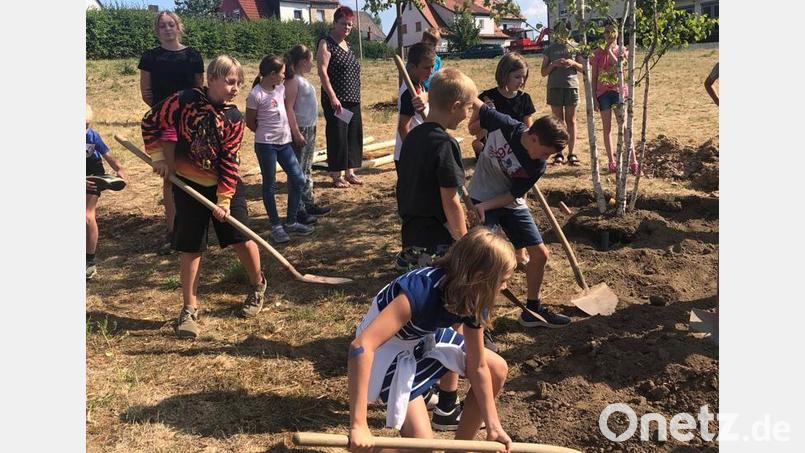 Die Grundschüler pflanzten im Bürgerpark Krummennaab Moorbirken. Bild: Grundschule Krummennaab/exb