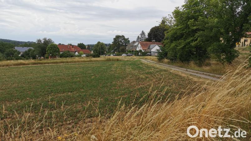 Der geplante Rettungswagen-Standort Schönsee kann sich auf diesem städtischen Grundstück am Ortsausgang in Richtung Eslarn ansiedeln. Bild: Portner