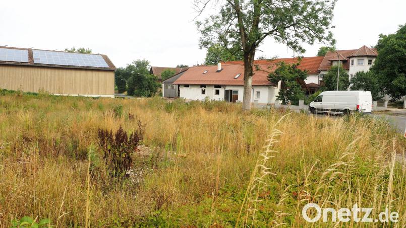 Für dieser Brache, mitten in Hagenohe gelegen, gibt es im Rahmen einer einfachen Dorferneuerung ein Planungskonzept für einen Dorfplatz. Einem Teil der Auerbacher Stadträte aber sind die Kosten dafür zu hoch. Bild: kek