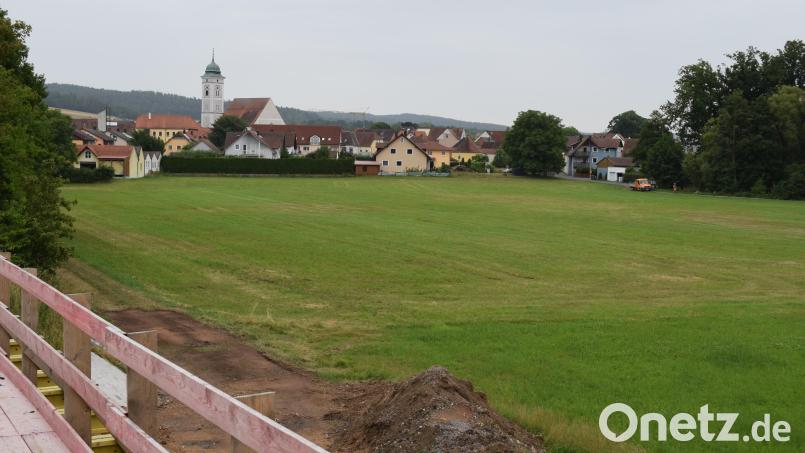 Der Hochwasserschutz in Pfreimd müsste durch Deiche und Schutzwände sichergestellt werden. Ein kostspieliges Vorhaben, das sich die Stadt nicht leisten kann. Bild: bnr