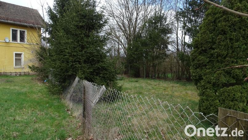 Freihöls bekommt den gewünschten Kinderspielplatz. Er entsteht auf einem der Gemeinde gehörenden Grundstück gleich neben dem maroden Bahnhofsgebäude. Für heuer stehen 20.000 Euro im Haushalt. Weitere 50.000 kommen nächstes Jahr hinzu. Bild: Houschka