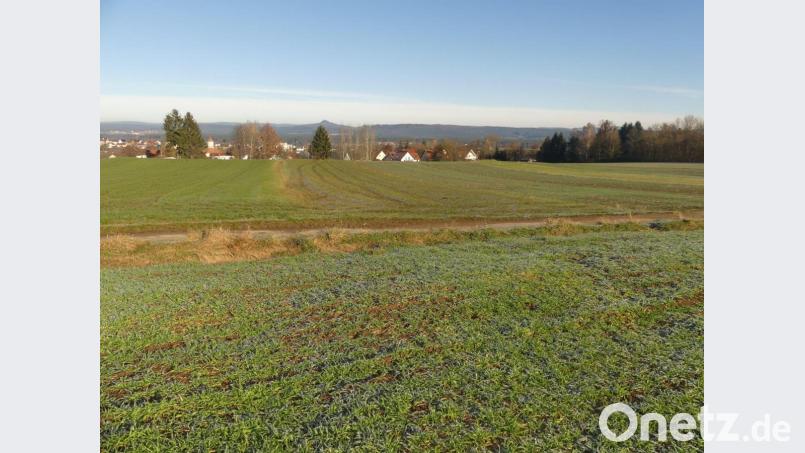 Mit Blick auf den Rauhen Kulm sollen hier die neuen Bauparzellen in Eschenbach entstehen. Bild: rn