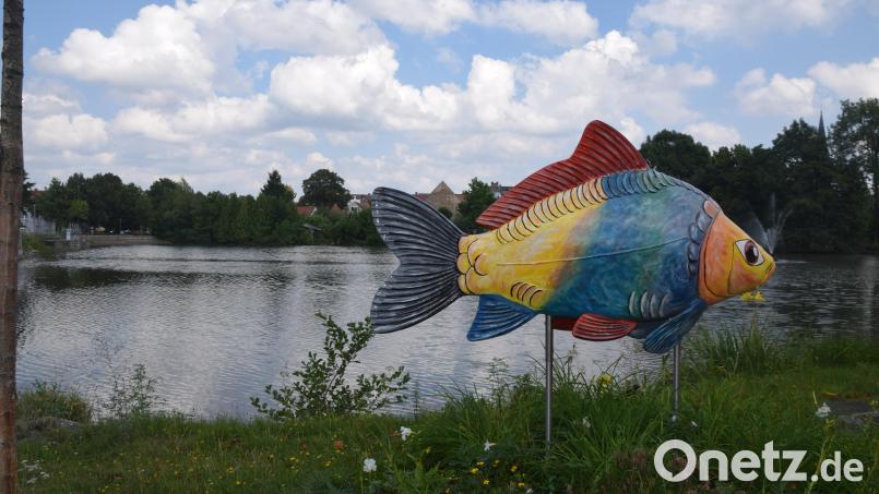 Der Stadtweiher in Kemnath. Bild: fz