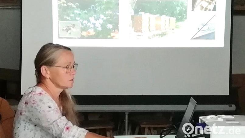 Bienenfachwartin Dorothea Wankel bei ihrem Vortrag am Sommerfest des Imkervereins Illschwang-Birgland. Bild: no