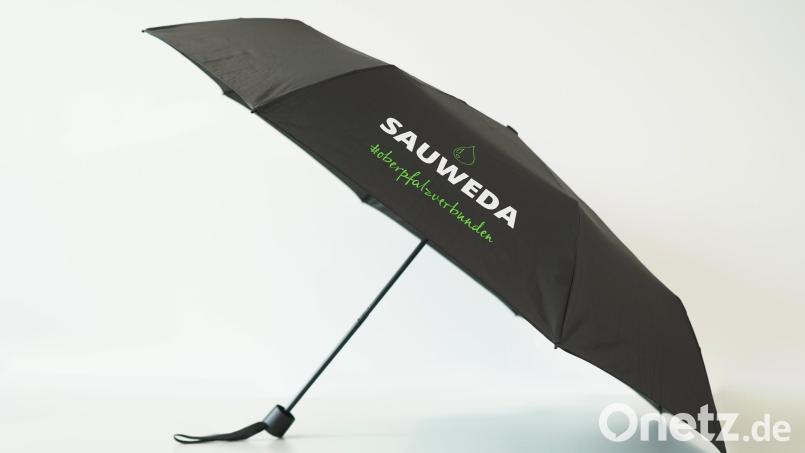 Der praktische Regenschirm für die Handtasche. Bild: gld