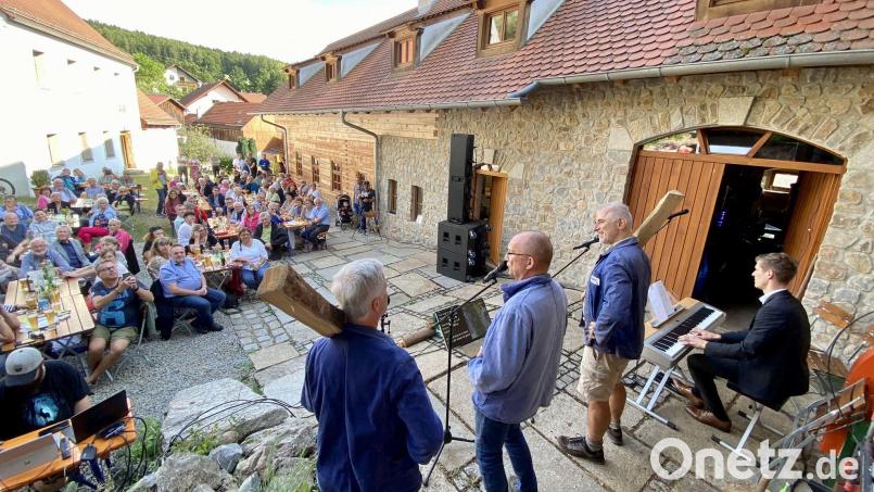 Da stehen sie, die drei Holzhauer (von links): Wolfgang Habrich, Alfred Mösenburger und Rudi Leitl. Am Piano: Johannes Raab. Bild: gri