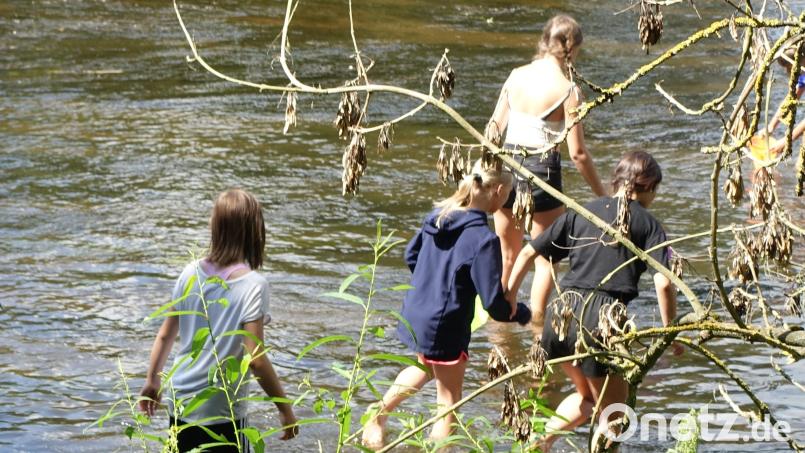 Schüler des Johann-Andreas-Schmeller-Gymnasiums erkunden an ihrem Projekttag &quot;Wasser&quot; die Naab. Bild: WWA Weiden/exb
