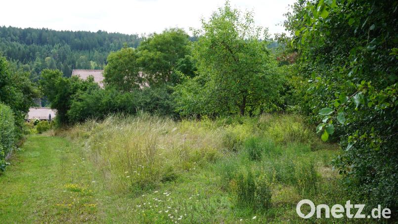 Ob auf dem Grundstück neben dem Verbindungsweg zwischen der Abt-Desing- und der Asamstraße in Ensdorf ein Kinderspielplatz entsteht, ist noch nicht entschieden. Bild: tra